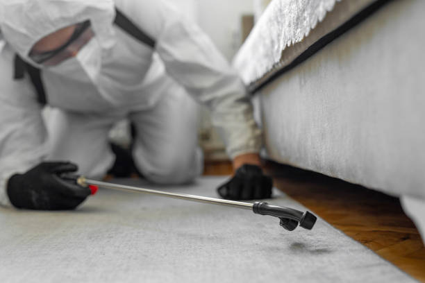 Professional Termite Control technician working in Auburn, ME