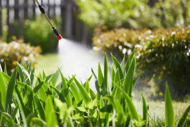 24/7 Emergency Termite Control experts in Auburn, ME