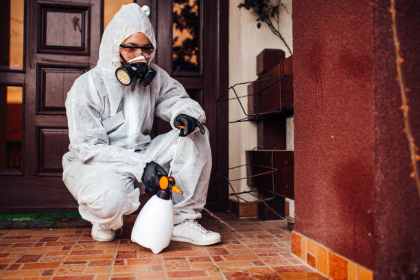 Reliable Termite Control contractor in Auburn, ME by Nex Pest Control