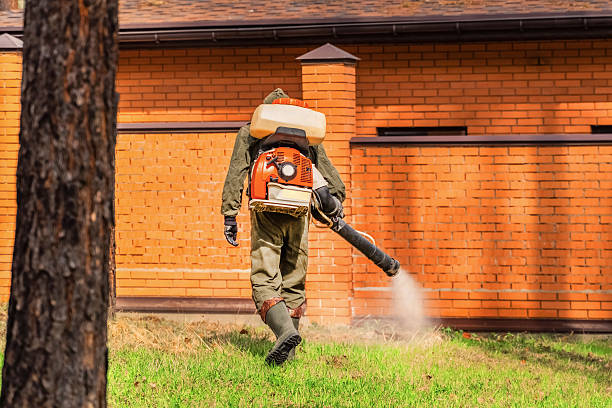 Top rated local Termite Control specialists in Auburn, ME